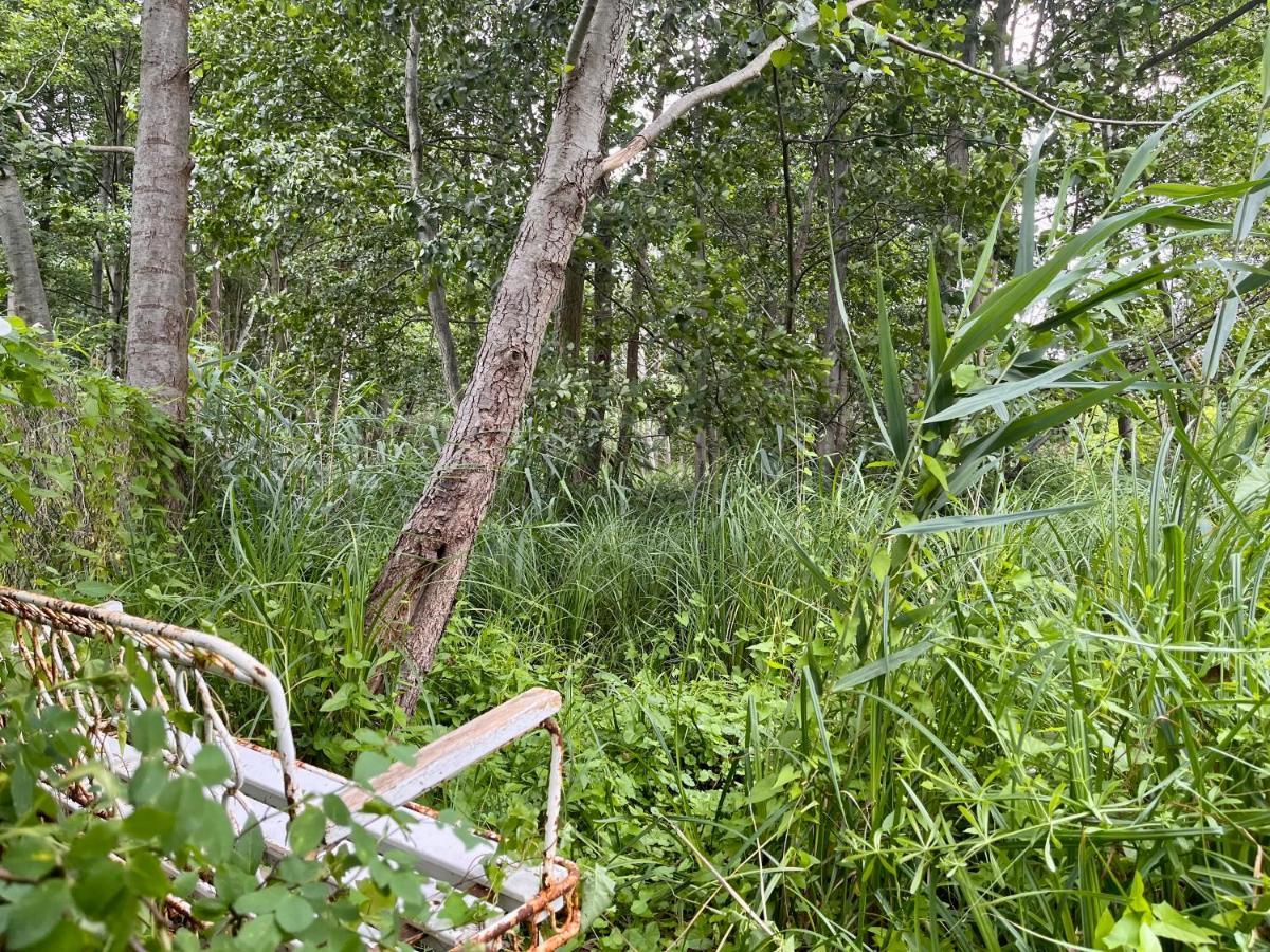 Haeuschen In Den Erlen Eberswalde Exterior foto